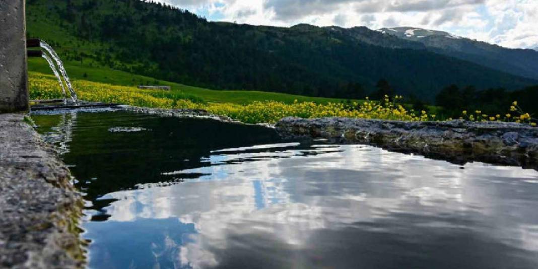 Sarı çiçeklere bürünen çayırları, buz gibi akan çeşmeleri... Gümüşhane’nin 950 rakımda masal diyarı 2
